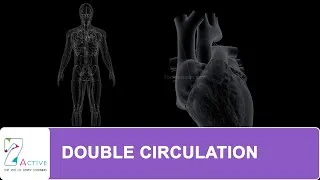 Thumbnail: DOUBLE CIRCULATION