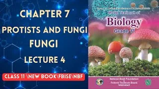 Thumbnail: FUNGI | PROTISTS AND FUNGI | LECTURE 4 | CHAPTER 7 | CLASS 11 | BIOLOGY |NBF