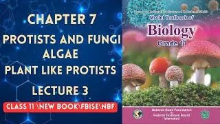 Thumbnail: ALGAE |PLANT LIKE PROTISTS |PROTISTS AND FUNGI | LECTURE 2 | CHAPTER 7 | CLASS 11 | BIOLOGY |NBF