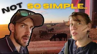 Thumbnail: The Reality of Our Life: Joys & Headaches