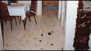 Thumbnail: Every Real Location of the I-5 Killer Randall Woodfield's Rampage. 85 Grave True Crime.