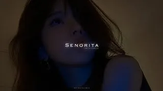 Thumbnail: Senorita — Camila Cabello (Slowed + Reverb)