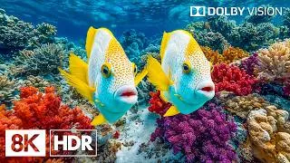 Thumbnail: Beautiful Deep Sea Coral Reef Fish in 8K HDR | Dolby Vision™