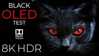 Thumbnail: The Black OLED Test 8K HDR 60fps Dolby Vision | 8K Video Ultra HD