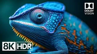 Thumbnail: The Peak of Picture Quality in 8K HDR 60fps Dolby Vision™ (4K/8K TV)