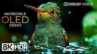 Thumbnail: Incredible 8K HDR 60fps Dolby Vision Demo (8K 60fps Video)