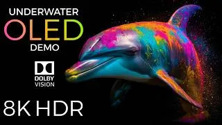Thumbnail: Underwater World OLED Demo HDR 8K Ultra HD Dolby Vision™ 60fps