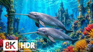 Thumbnail: Discover the Hidden World of an 8K Aquarium | Dolby Vision™