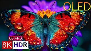 Thumbnail: OLED TV DEMO in 8K HDR 60fps – Visual Perfection