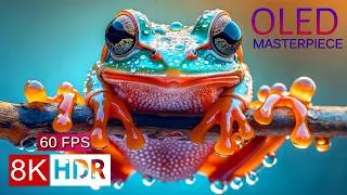 Thumbnail: OLED MASTERPIECE 8K HDR 60FPS – Infinite Contrast