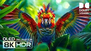 Thumbnail: Incredible OLED TEST Dolby Vision 120fsp | 8K HDR Nature Showcase | 4K/8K Video TV