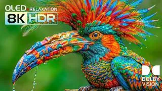 Thumbnail: BEST 8K Video EVER | Amazing Dolby Vision HDR Nature OLED TEST for 4K/8K ULTRA HD TV
