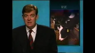 Thumbnail: RTE News - British Beef Cull, Dublin, Clonmel, and Chinese Adoption - with Brian Dobson | 1996