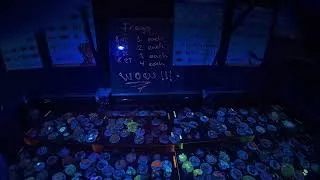 Thumbnail: A NEW 40 GALLON AQUARIUM SETUP FROM START TO FINISH  SALTWATER REEFING EDITION NEW CORAL FRAGS LFS