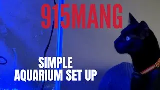 Thumbnail: A NEW 40 GALLON FIJI INSERT ALL IN ONE AQUARIUM SETUP FROM START TO FINISH  SALTWATER REEFING 