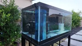 Thumbnail: A NEW 40 GALLON AQUAriuM SETUP FROM START TO FINISH  SALTWATER REEFING EDITION