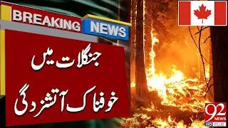 Thumbnail: Terrible F*re In Forests | Shocking News Came | 92 News HD