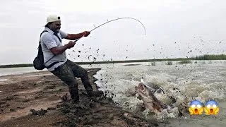 Thumbnail: Biggest Big sneaked Fishing Techniques || Murrel fish catching Videos || FISHING VIDEOS 