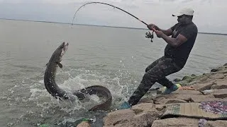 Thumbnail: Big Baam Fishing Techniques 🎣 || Indian Baam Fishing Videos || Eel fish catching || FISHING VIDEOS 