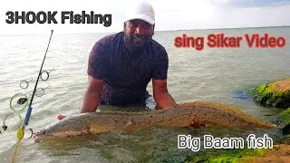 Thumbnail: Biggest Big Indian Eel fish catching || Big Indian Baam Fishing Techniques || FISHING VIDEOS 