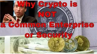 Thumbnail: Can Crypto Qualify as a Common Enterprise for SEC? No
