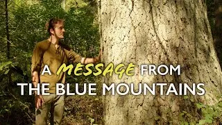Thumbnail: Water, Fire & Forest Management in the Blue Mountains: a Case Study