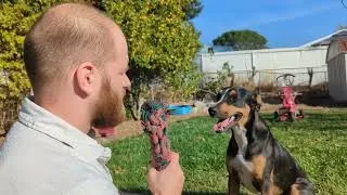 Thumbnail: Astro the Cameradog talks Mountain Biking Haines Canyon