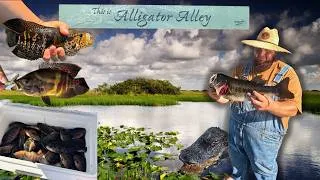 Thumbnail: 2 Days Fishing INVASIVE Species in the Florida Everglades | Loaded the Boat at ALLIGATOR ALLEY!