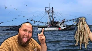 Thumbnail: Trawling the Beach for BIG SHRIMP! (Catch & Cook-Shrimp n' Grits)