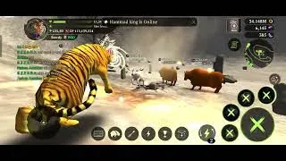 Thumbnail: The Tiger Game - kill Bison Champion & quests #a2ygs #thetiger 