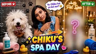 Thumbnail: Chiku Ka FIRST Spa Day 😱🐶 | Before vs After Transformation ❤️