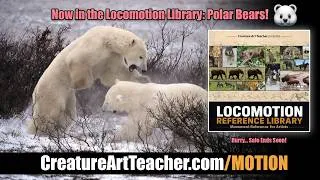 Thumbnail: NEW Polar Bear Reference Added! 🐻‍❄️