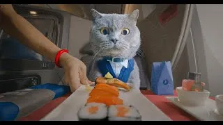 Thumbnail: Cat Vlogs His Trip to Istanbul
