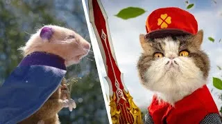 Thumbnail: Cats vs. Hamsters