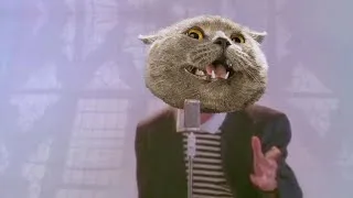 Thumbnail: Rick Rolled (Cat Version)