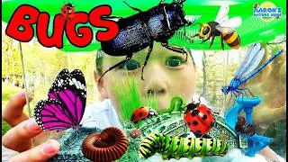 Thumbnail: KIDS! 🐞Real BUG Safari! 🐛Watch Bugs Go Crazy! | EDUCATIONAL KIDS NATURE SHOW🌿