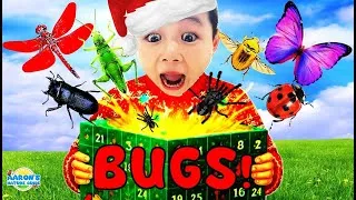 Thumbnail: KIDS!🐞🐛 Holiday BUG Explosion🎉Advent Calendar Adventure!🎄| Educational Kids Nature Show🌿