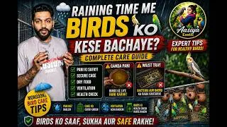 Thumbnail: Rainy Season Bird Care Guide | Monsoon Me Birds Ko Kaise Bachaye? | Cockatiel, Budgies, Lovebirds