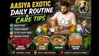 Thumbnail: Daily Bird Care Routine | Best Diet for Healthy Lovebirds, Budgies, Cockatiels & Macaws 🦜