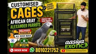 Thumbnail: Best Parrot Cage in India 🦜 | Strong & Spacious Customised Cages | Aasiya Exotic #cage #petcage