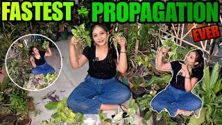 Thumbnail: Plant ka Built-In Clone Button❌💀🌱 The Reason Some Cuttings Root So Fast😳🌿#plants #gardening #garden