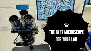 Thumbnail: Looking for a good microscope for your lab? The ultimate microscope guide.