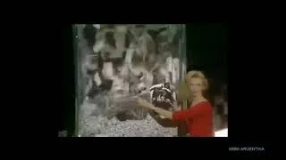 Thumbnail: ABBA Money, money, money 1978 Program with Olivia Newton-John