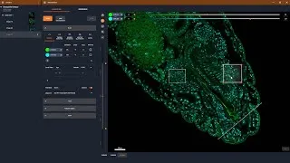 Thumbnail: LiGHTBOX Rayshape