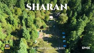 Thumbnail: Sharan Forest & Manshi Top Trek | Pakistan's Hidden Paradise in Kaghan Valley 🇵🇰