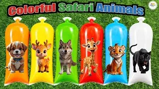 Thumbnail: FINDING : Colorful Safari Animals | Bear, Giraffe, Fox, Elephant, Lion, Cheetah, ABC Animals Sounds