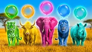 Thumbnail: Colorful Safari Animals Bubble | Animals Song | Nursery Rhymes | ABC Songs | ABC Animals Sounds