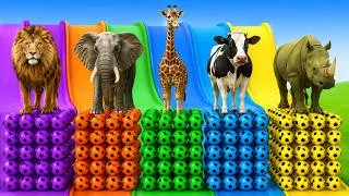 Thumbnail: Long Slide Game With Cow Elephant Gorilla Hippopotamus Tiger 3d Animal Game Funny 3d Animals