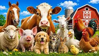 Thumbnail: Farm Animal Sounds for Kids 🐄🐖🐔 | Cute Animal Sounds | Learn Farm Animals & Animal Names 🌾