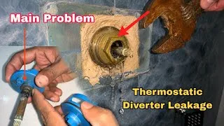 Thumbnail: Jaquar Thermostatic Diverter Leakage Repairing 